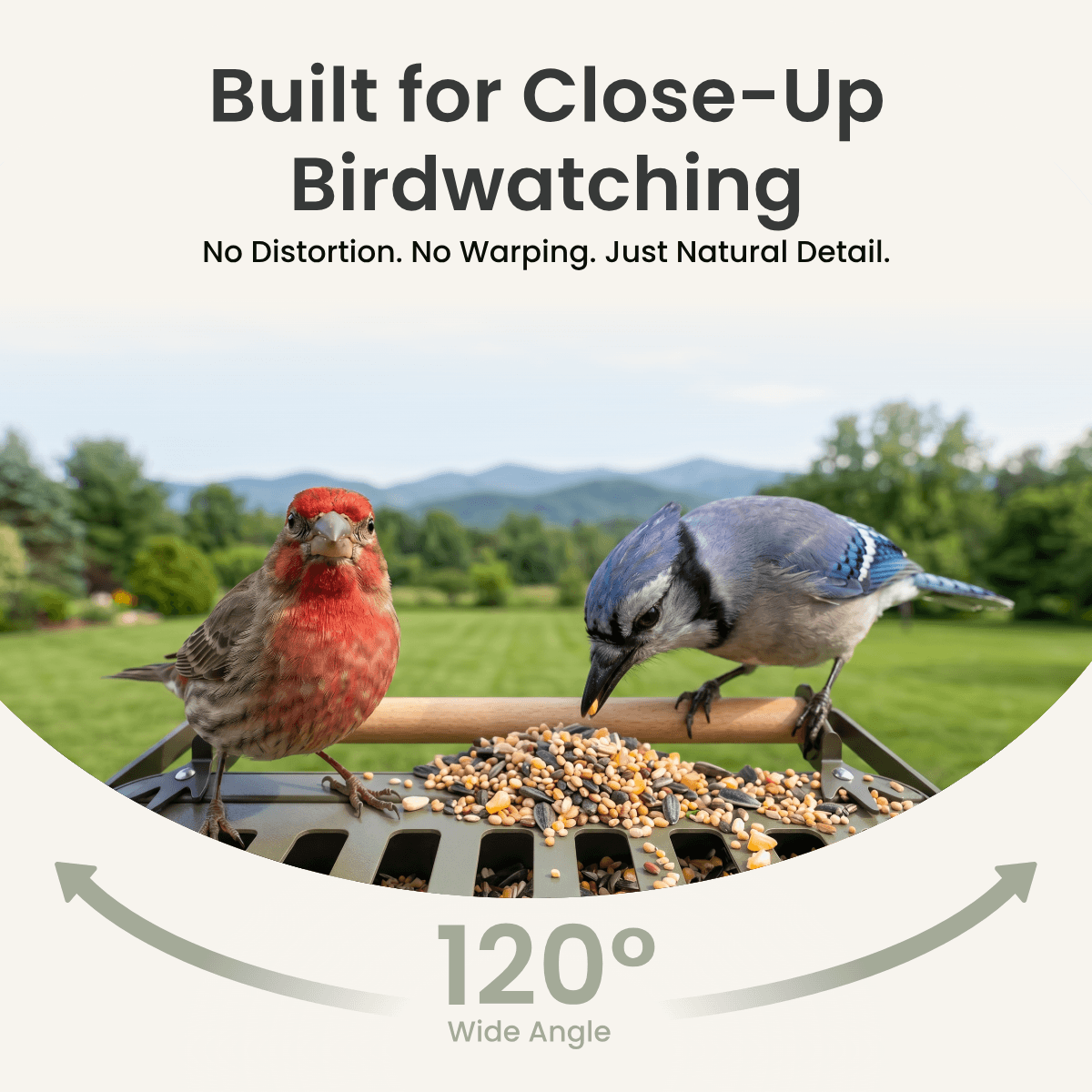Birdfy Feeder Metal 2 4K - Smart Metal Feeder with Camera