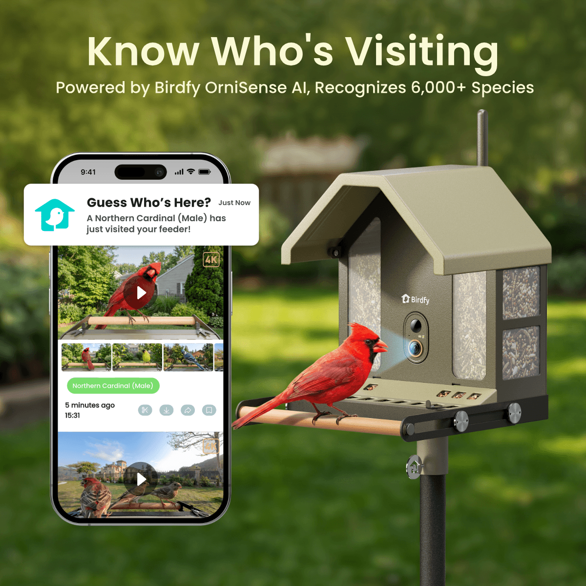 Birdfy Feeder Metal 2 4K - Smart Metal Feeder with Camera
