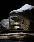 Dinosaur Bone Shard Tumbler - Set of 2