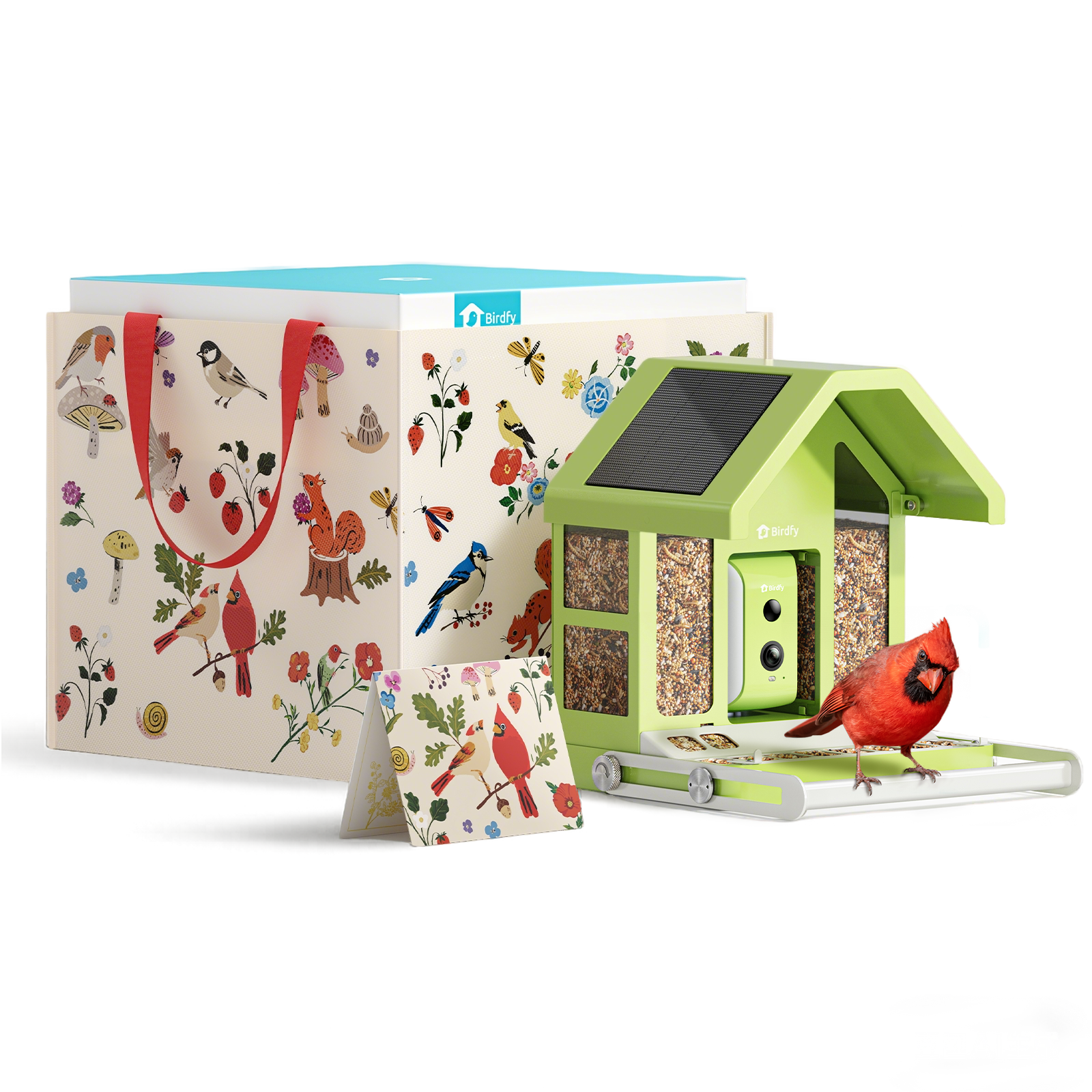 Birdfy Feeder Metal - Limited Father's Day Gift Set