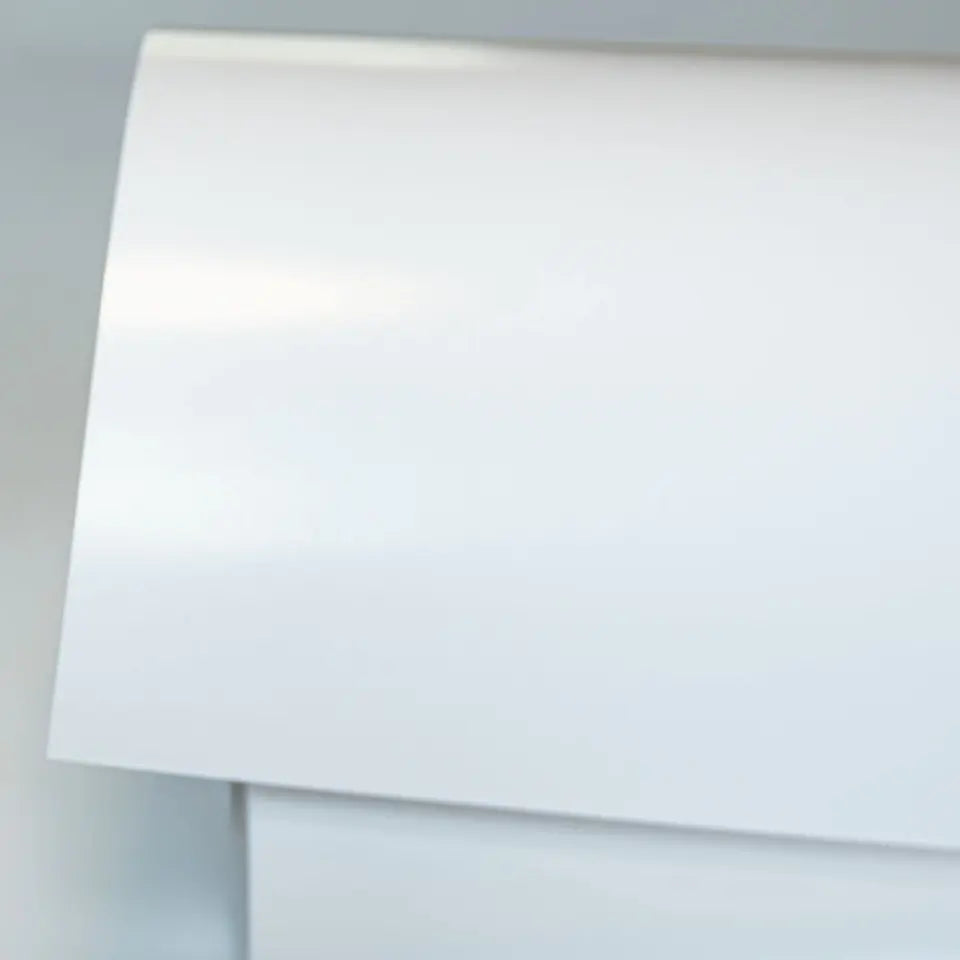 Personalized Halloween Cat Witch Poster - Up to 4 Cats - Halloween Gift For Cat Lovers/Wiccan Decor/Pagan Decor - Salem Sanctuary For Wayward Cats