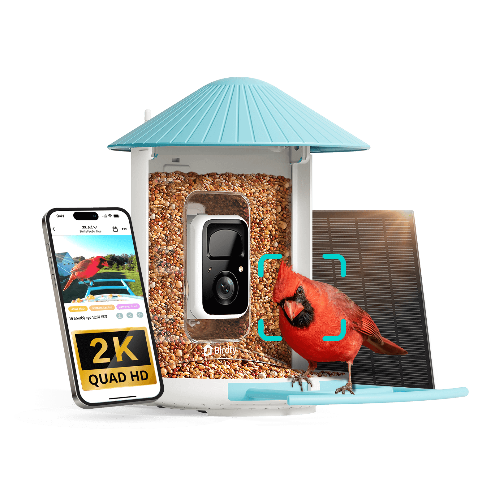 Birdfy Feeder - Smart Bird Feeder with Camera Standard Kit