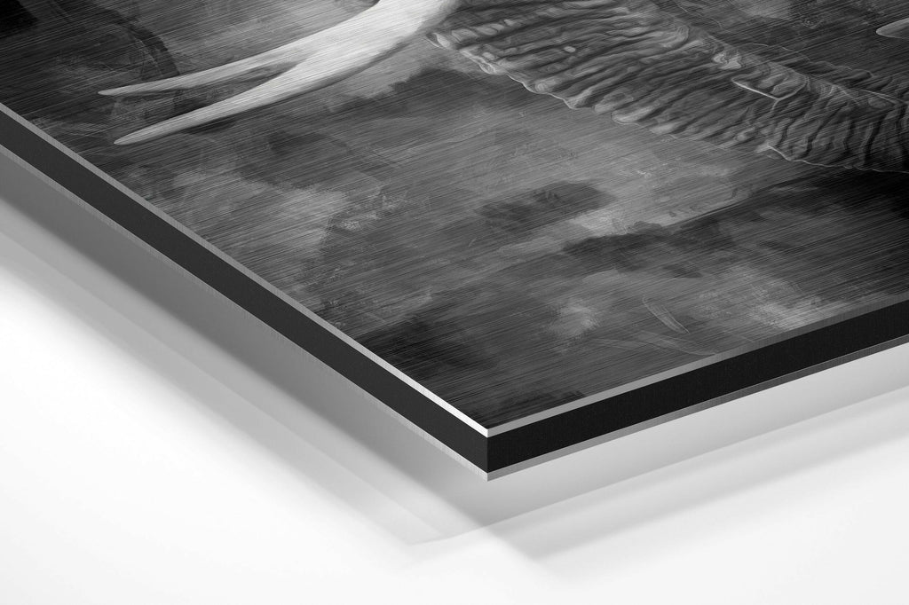 Elephant Brushed Aluminium Dibond Wall Art