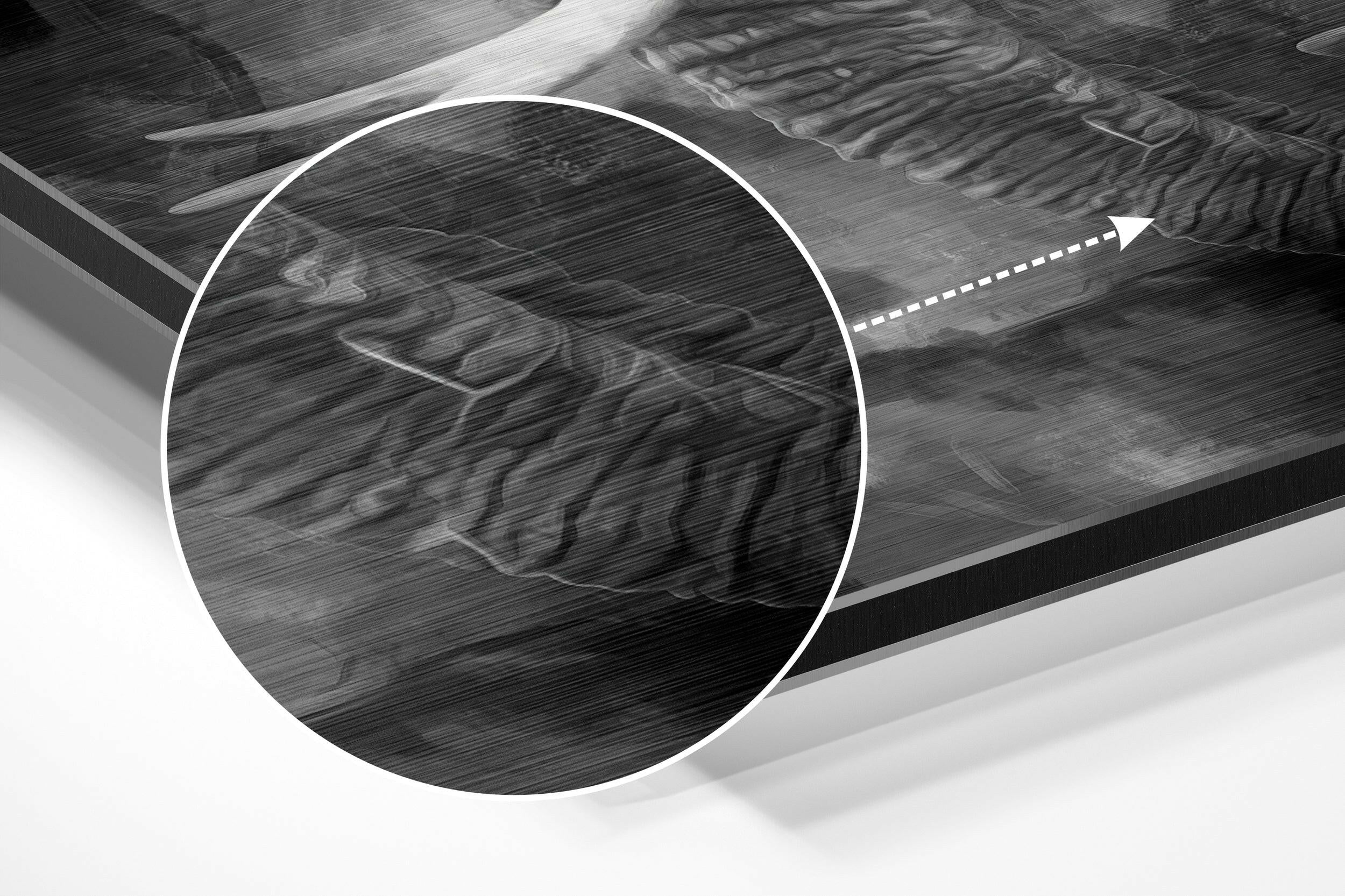 Elephant Brushed Aluminium Dibond Wall Art