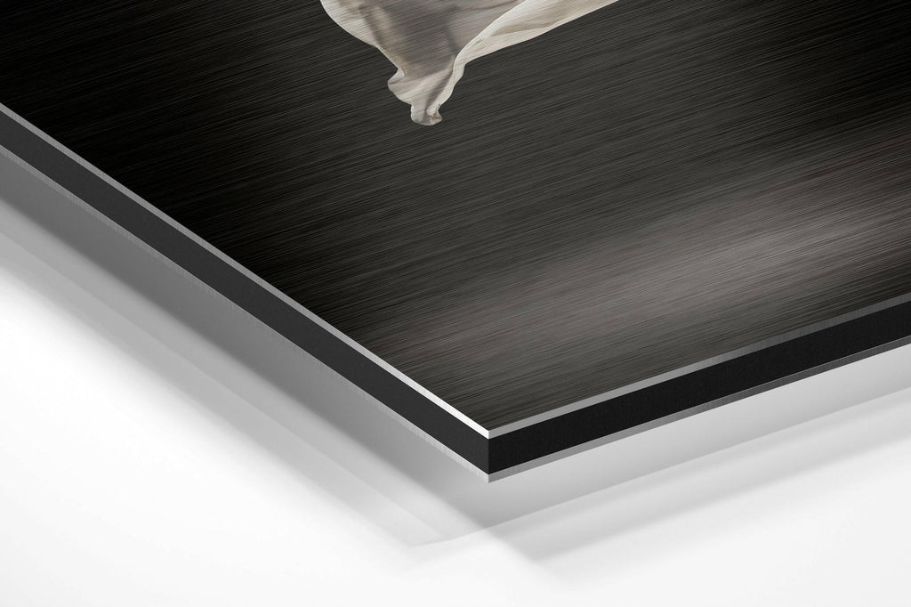 Ballerina Brushed Aluminium Dibond Wall Art