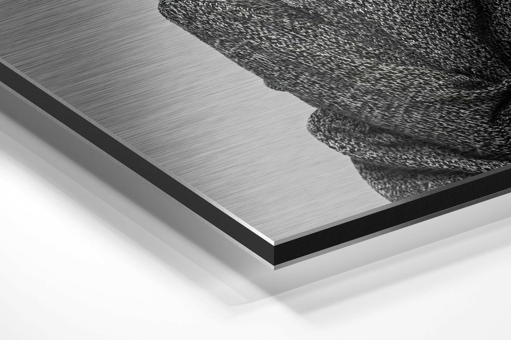 Goat-Headed Brushed Aluminium Dibond Wall Art