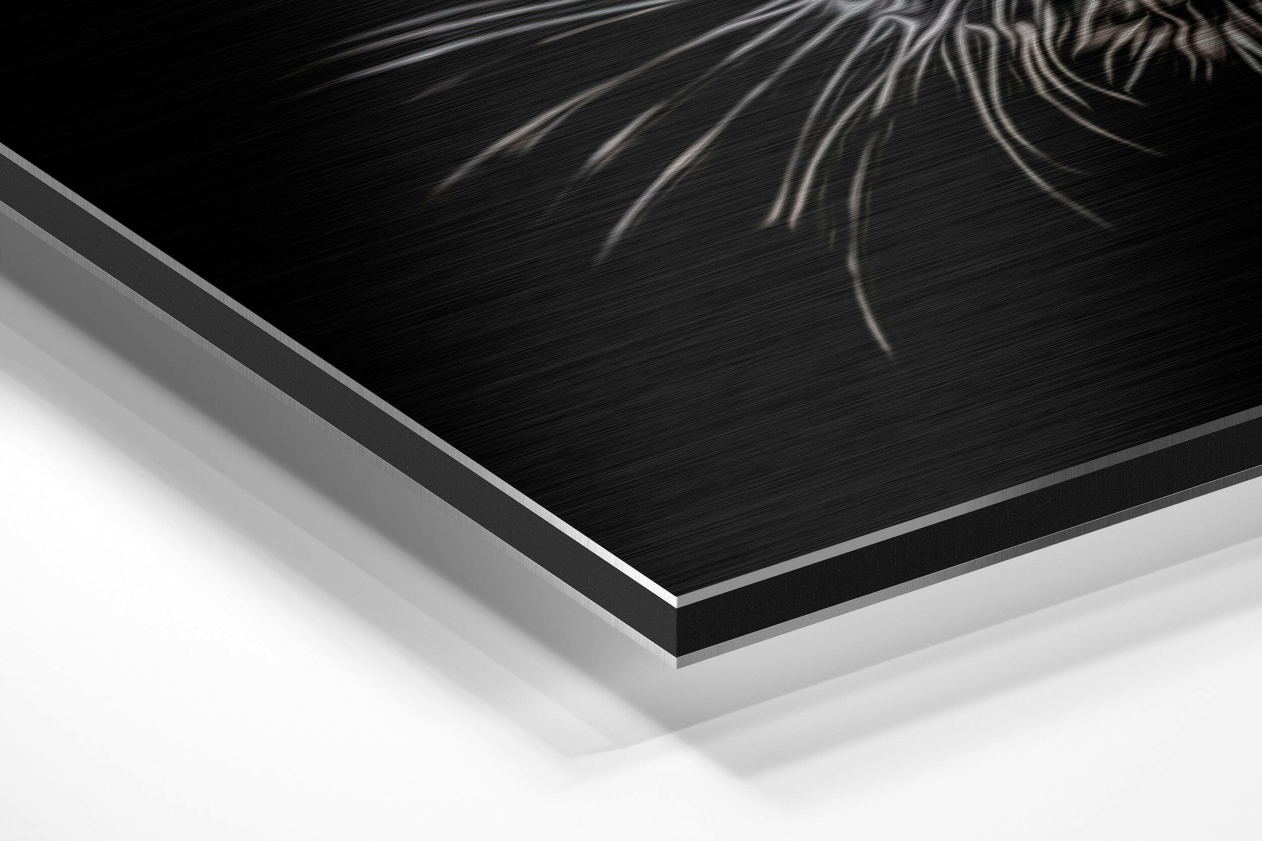 Black Panther Brushed Aluminium Dibond Wall Art