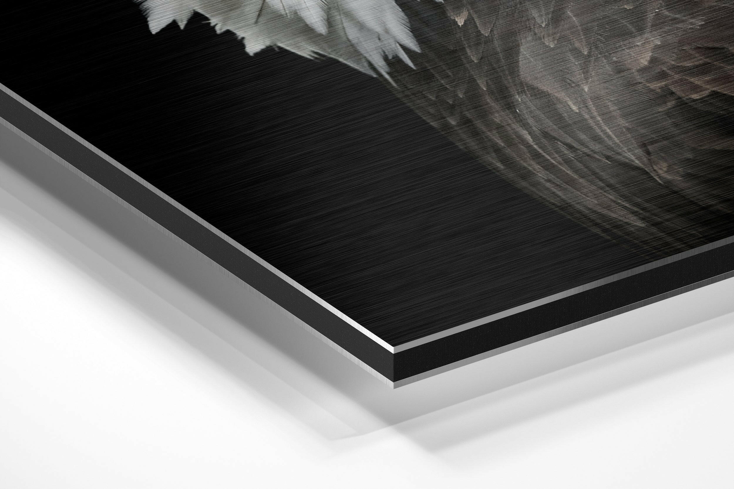 Eagle Brushed Aluminium Dibond Wall Art