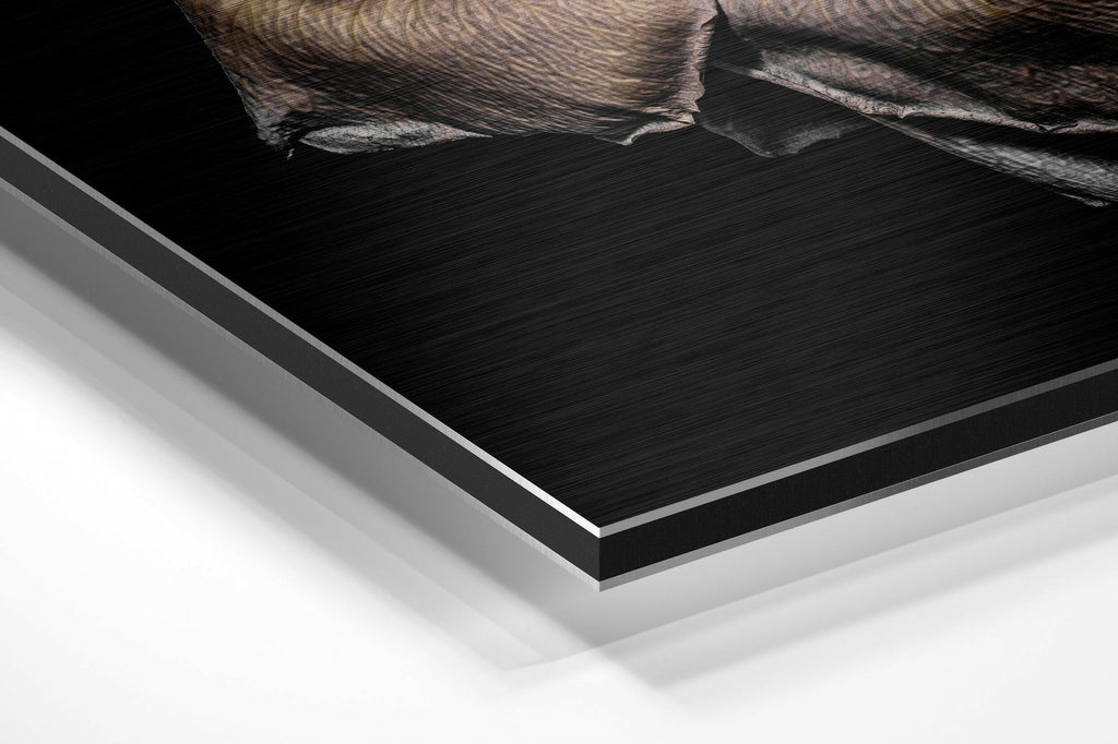 Rose Brushed Aluminium Dibond Wall Art