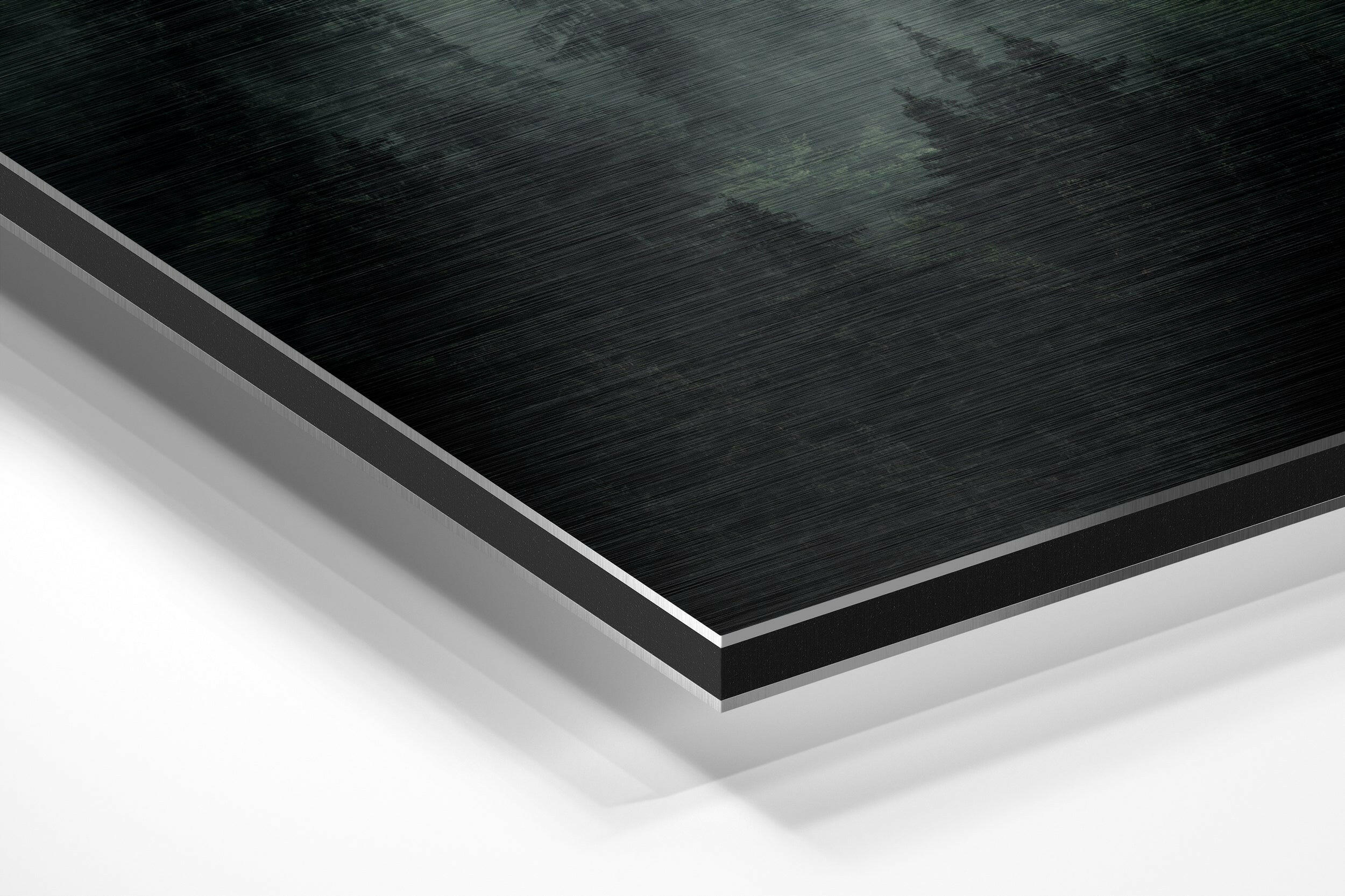 Forest Brushed Aluminium Dibond Wall Art