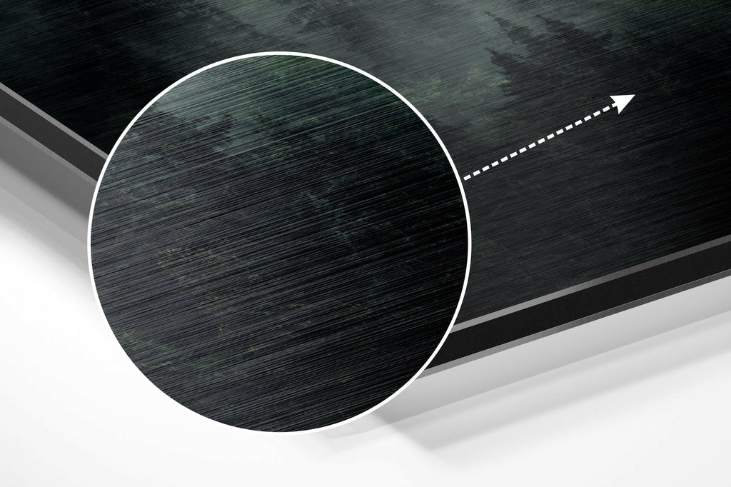 Forest Brushed Aluminium Dibond Wall Art