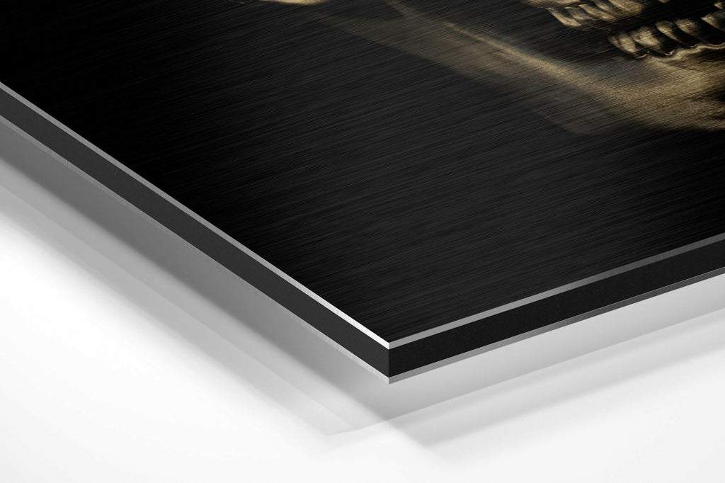 Skull Brushed Aluminium Dibond Wall Art
