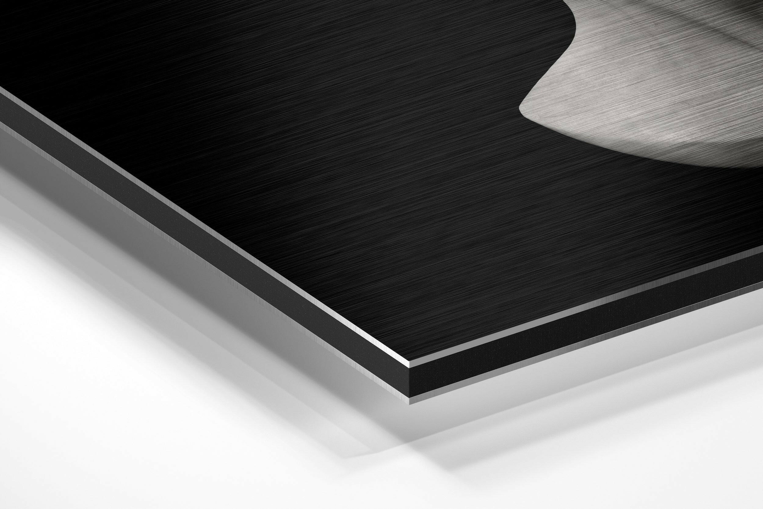 The Art of Sculpture Brushed Aluminium Dibond Wall Art