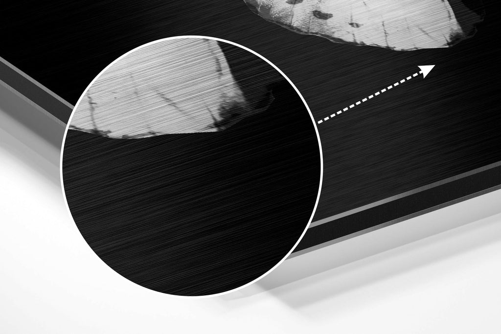 Butterfly Brushed Aluminium Dibond Wall Art