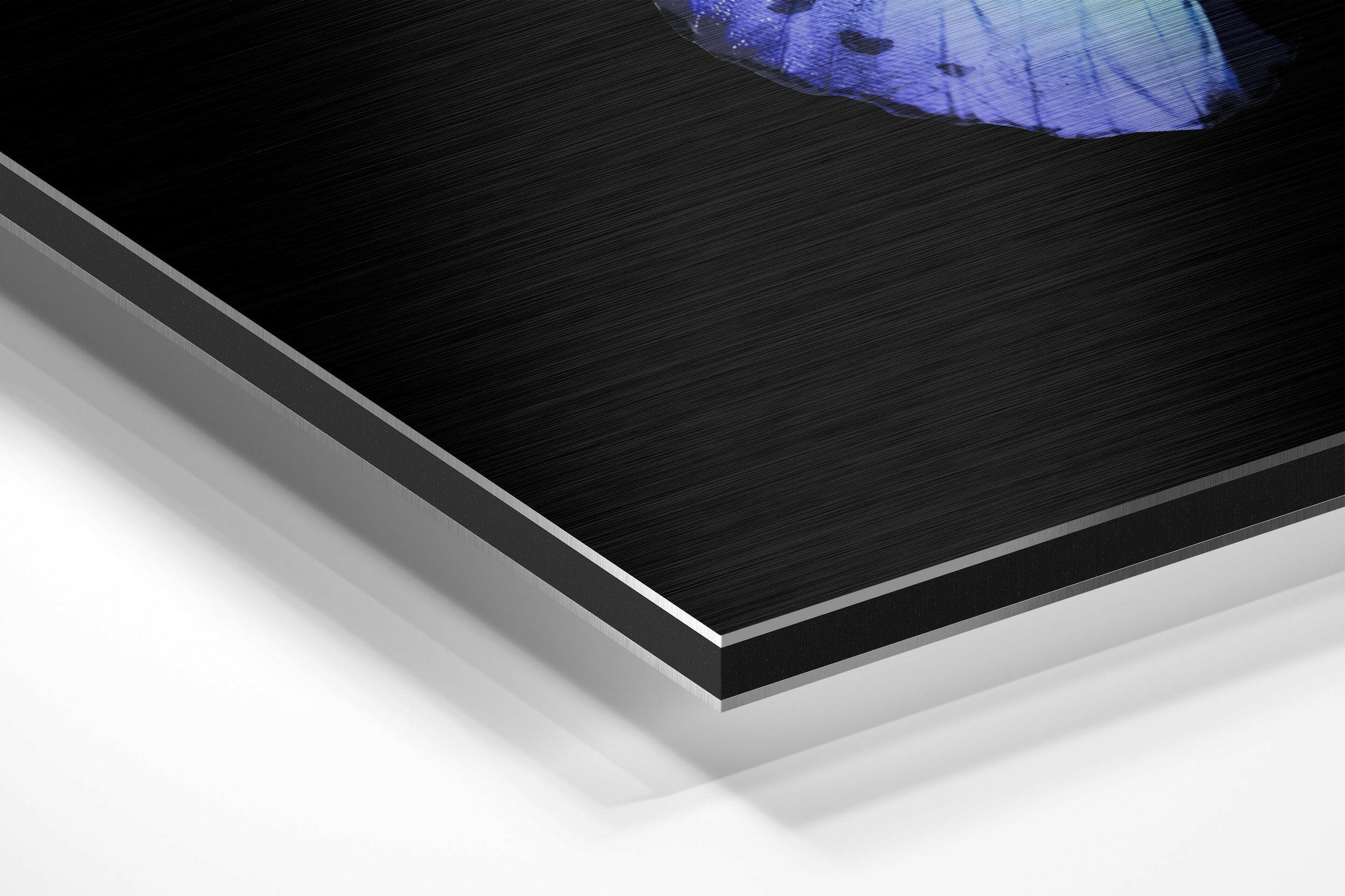 Butterfly Brushed Aluminium Dibond Wall Art