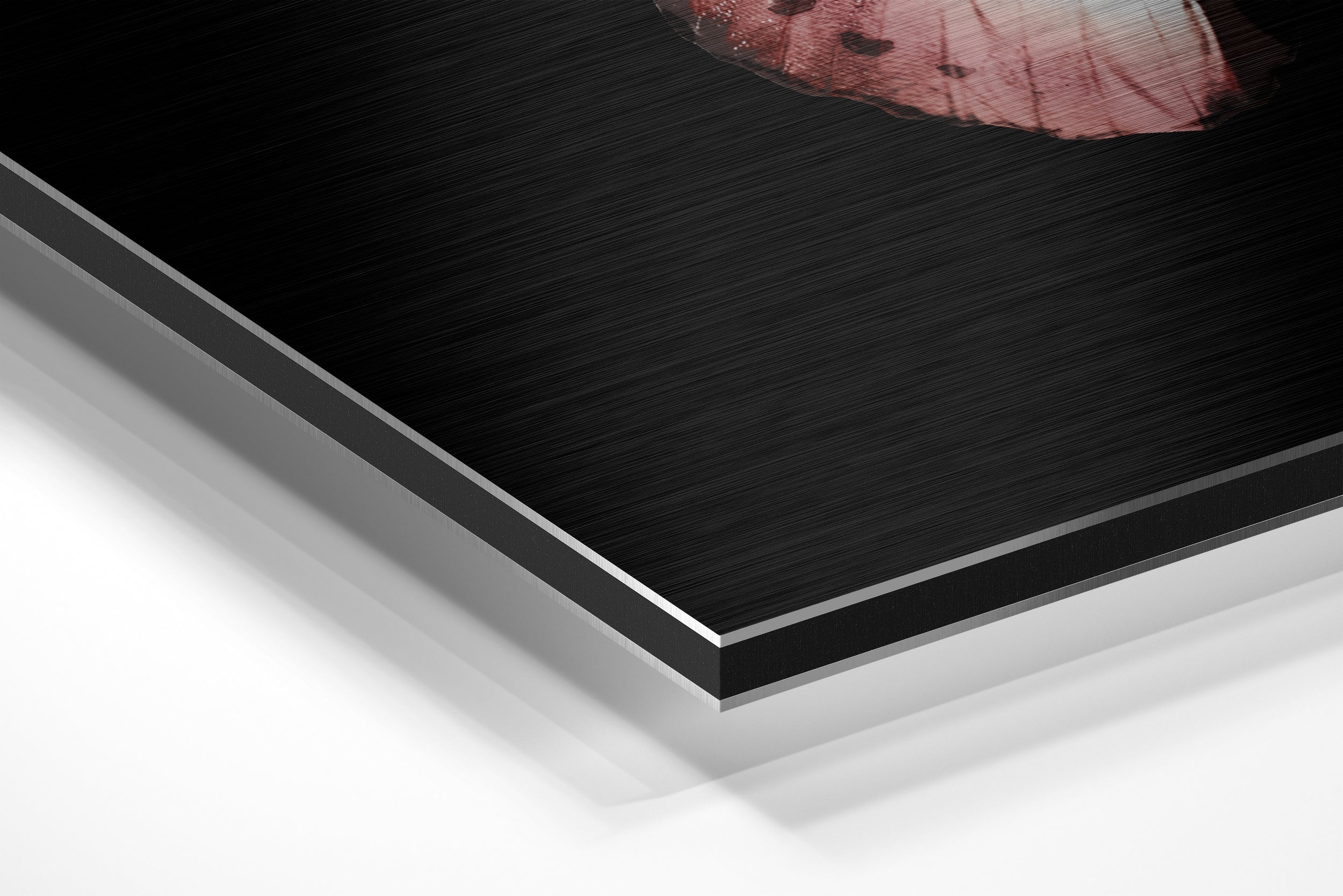 Butterfly Brushed Aluminium Dibond Wall Art