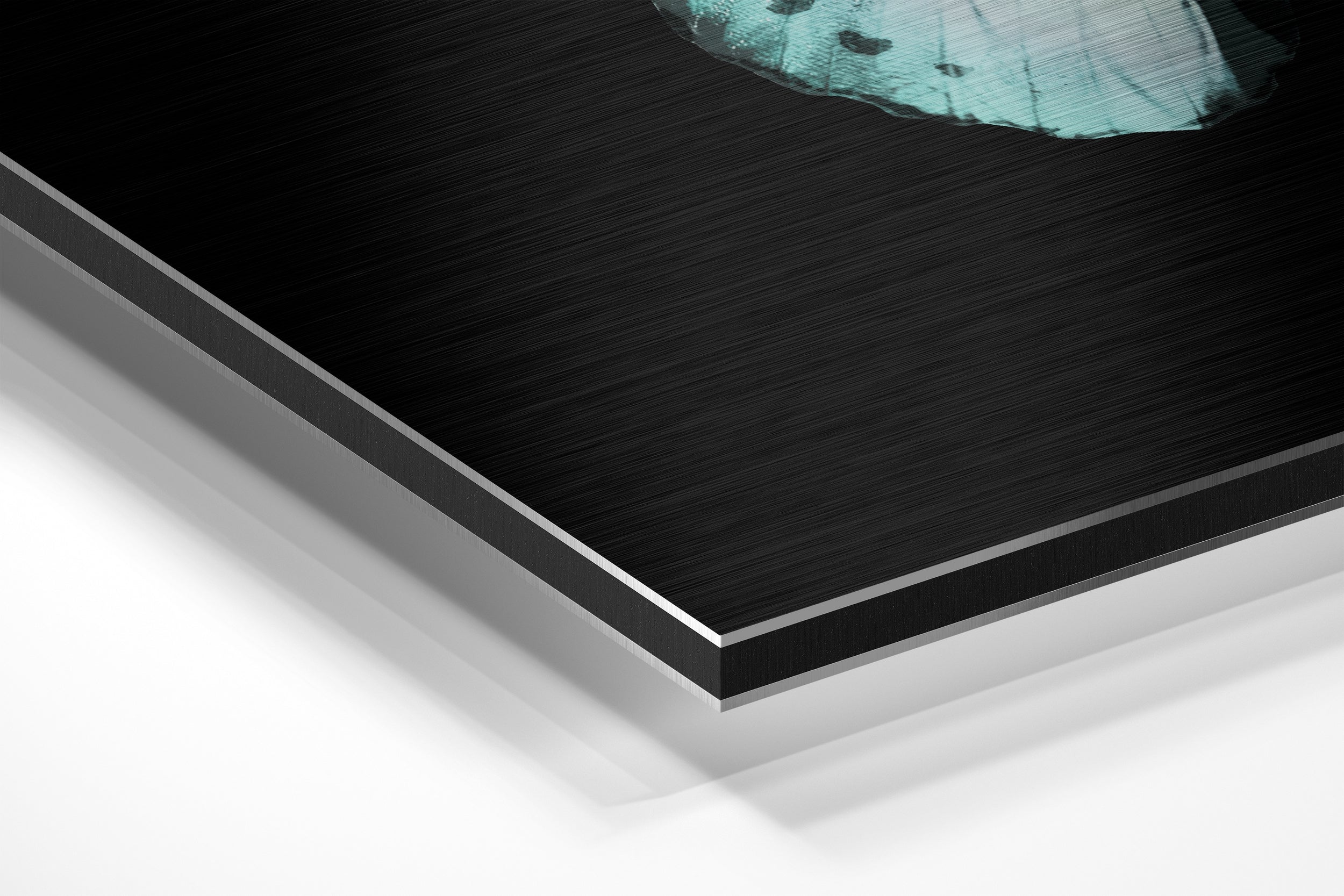 Butterfly Brushed Aluminium Dibond Wall Art