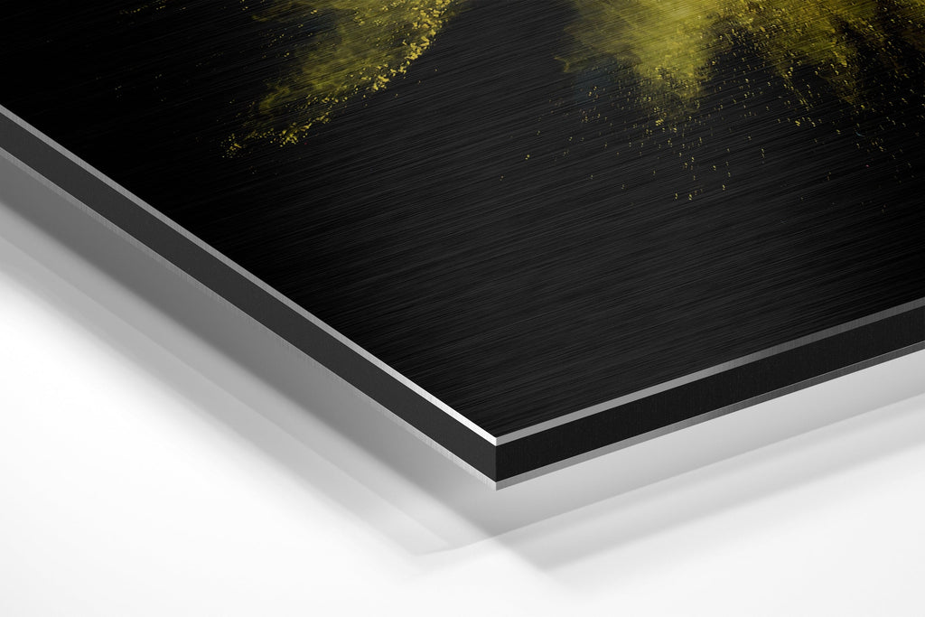 Color Burst Brushed Aluminium Dibond Wall Art