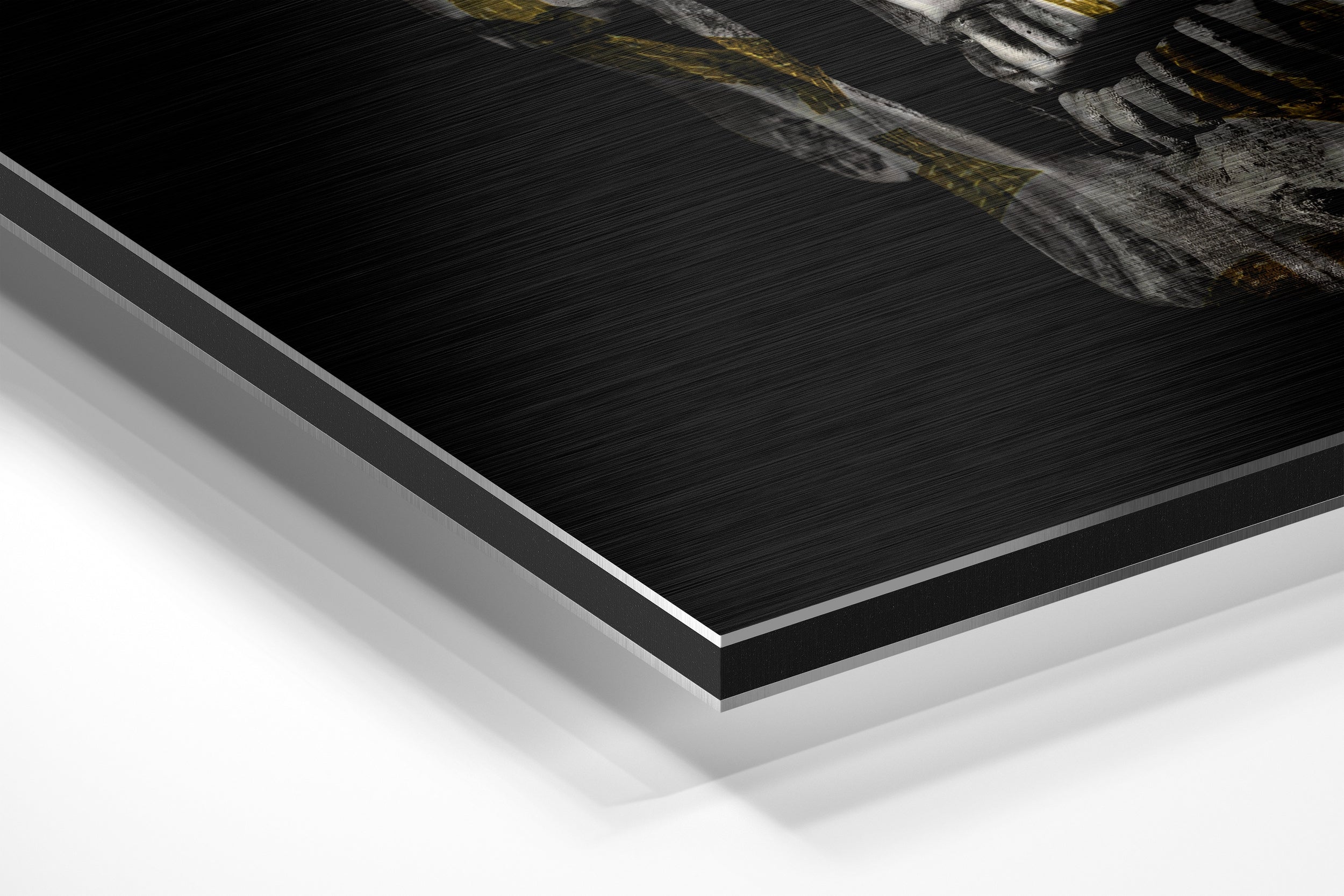 Skull Brushed Aluminium Dibond Wall Art