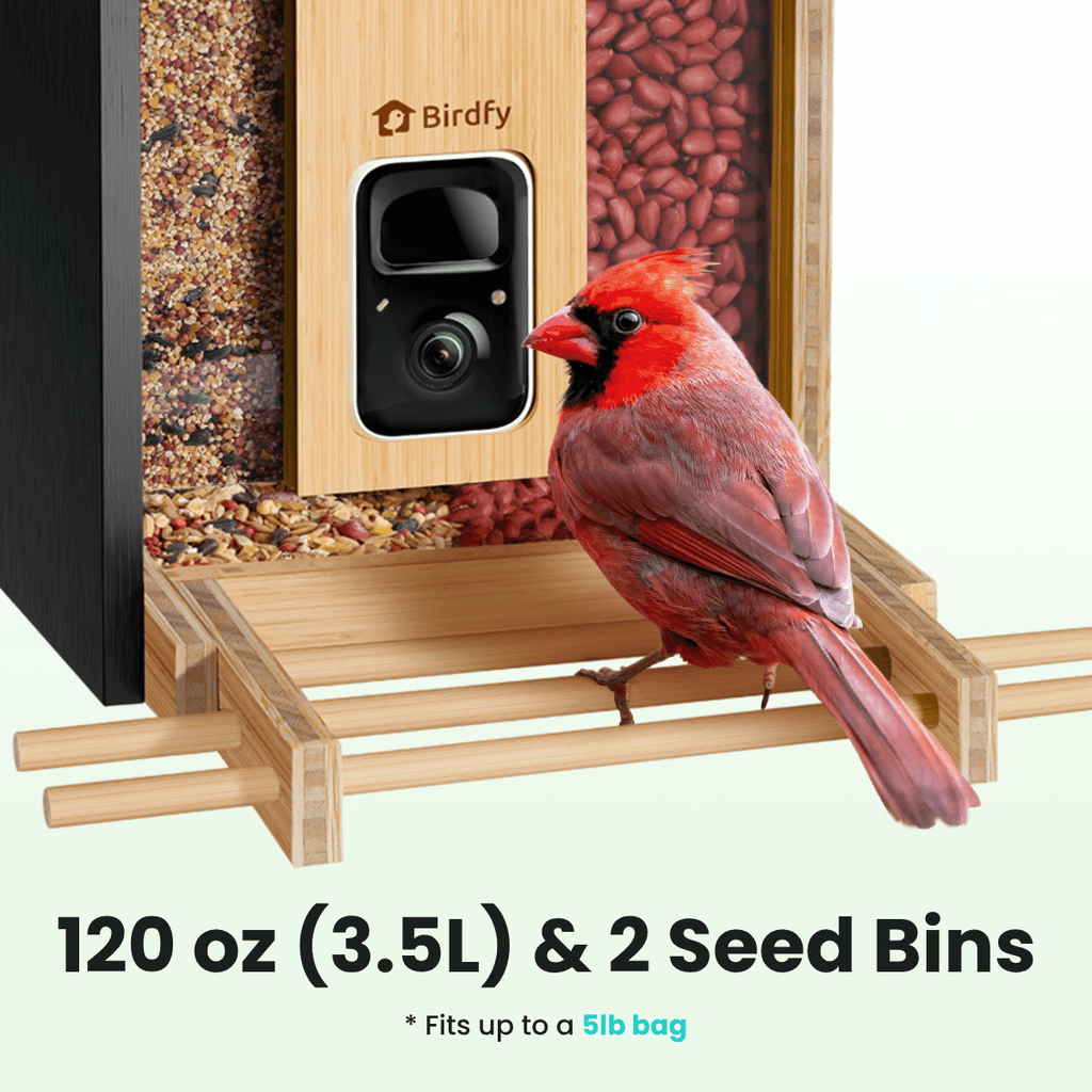 Birdfy Feeder Bamboo - Smart Bird Feeder with Eco-friendly Material