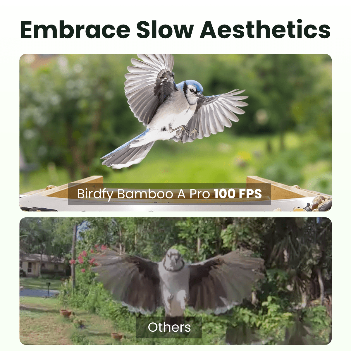 Birdfy Feeder Bamboo A Pro - Smart Metal Feeder with Camera