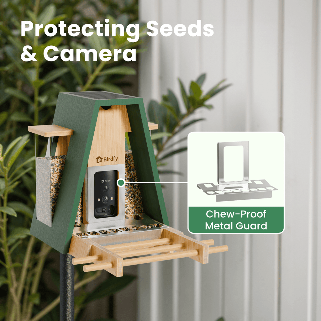 Birdfy Feeder Bamboo A Pro - Smart Metal Feeder with Camera