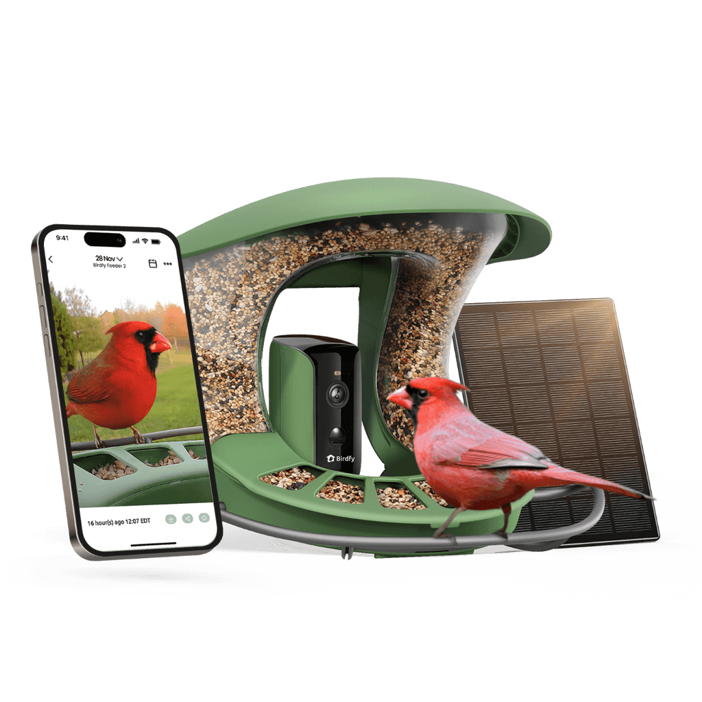 Birdfy Feeder 2 - Smart Bird Feeder