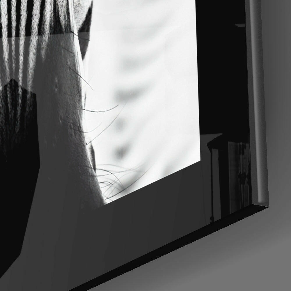 Zebra Glass Wall Art