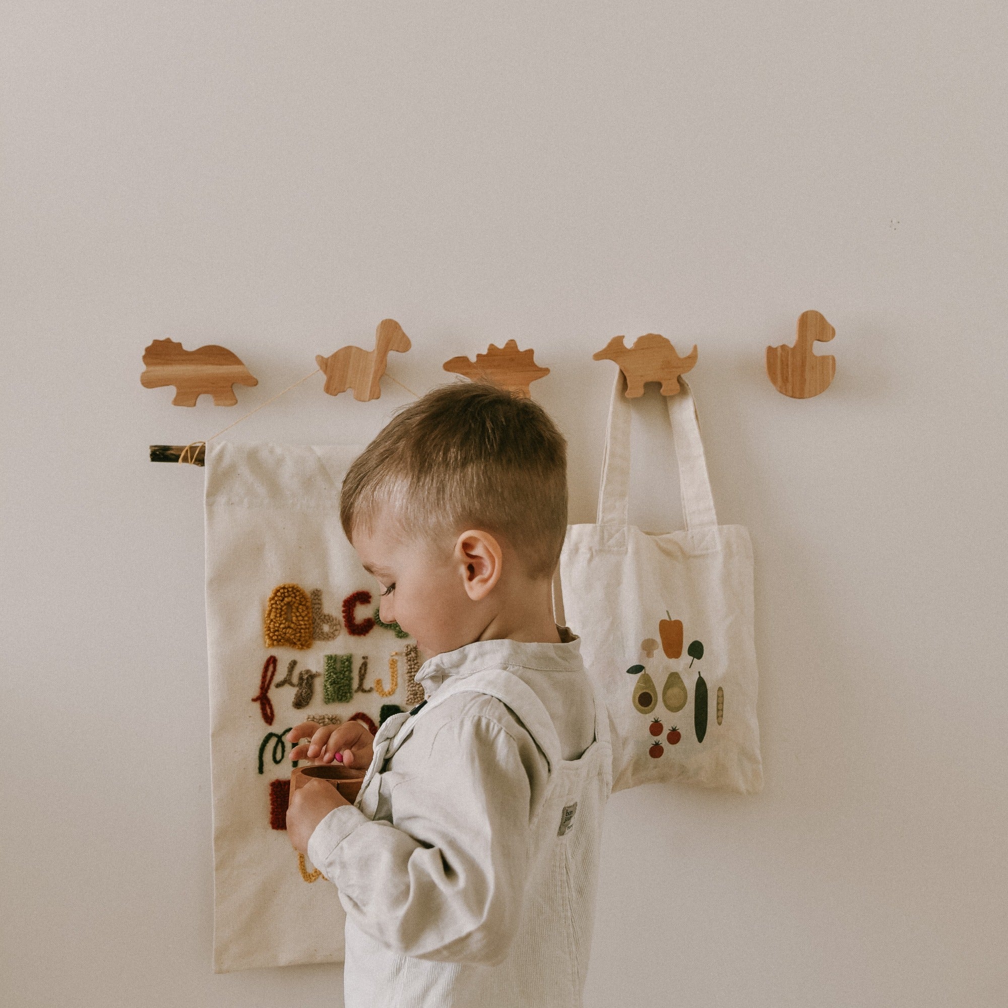 Dinosaurs Wall Hooks