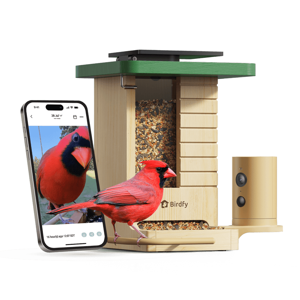 Birdfy Feeder Wood - Wooden Smart Bird Feeder with Camera