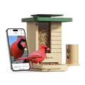 Birdfy Feeder Wood - Wooden Smart Bird Feeder with Camera