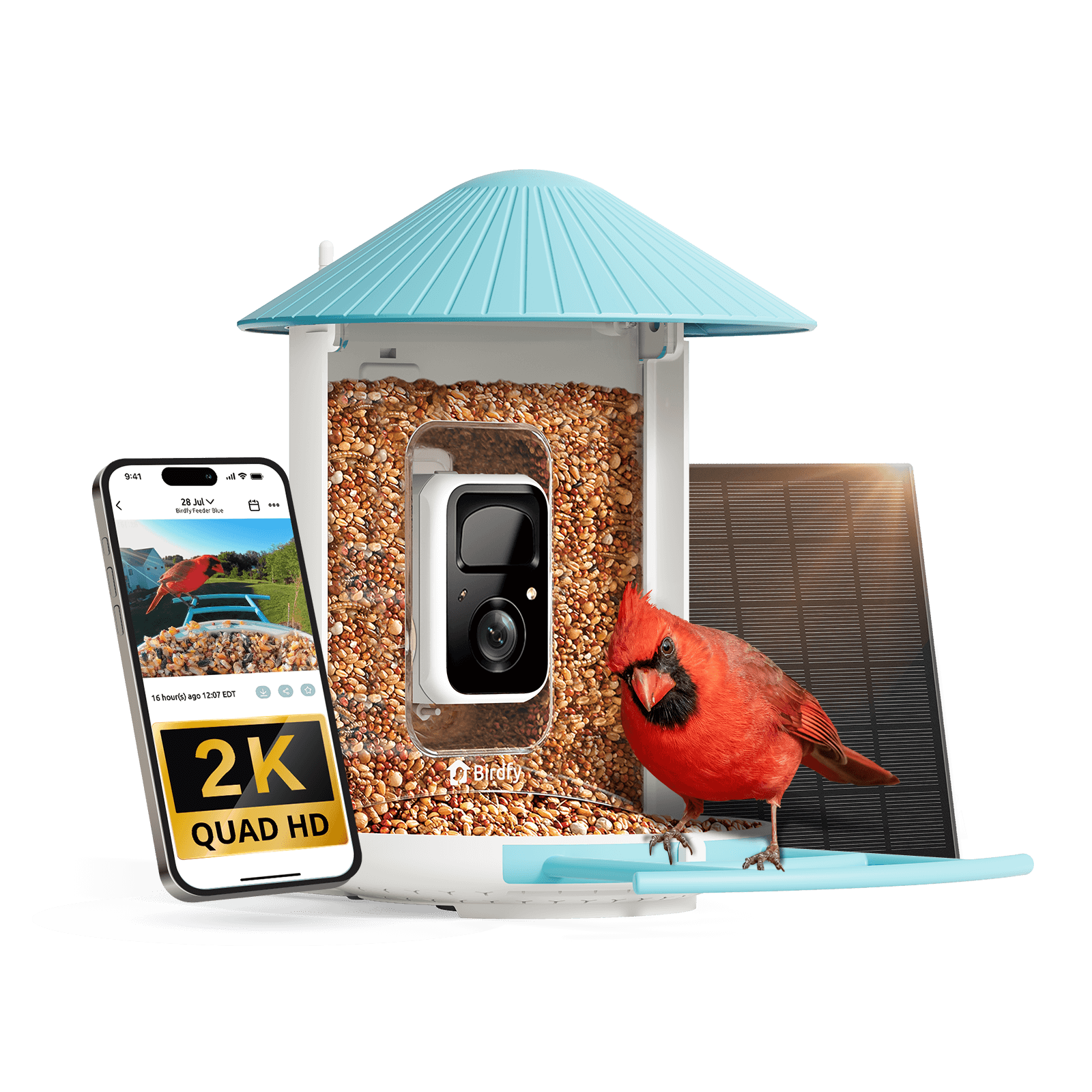 Birdfy Feeder - Smart Bird Feeder with Camera Standard Kit