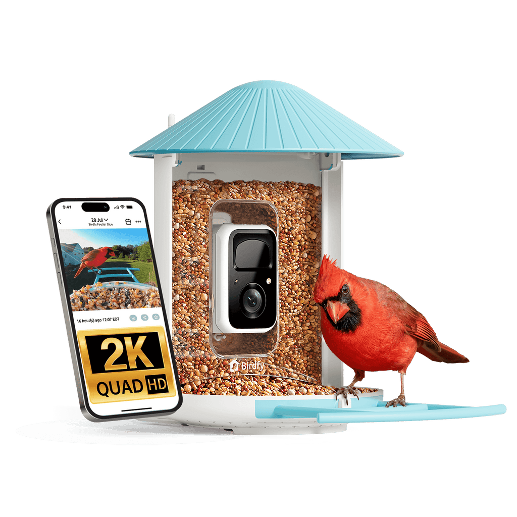 Birdfy Feeder - Smart Bird Feeder with Camera Standard Kit