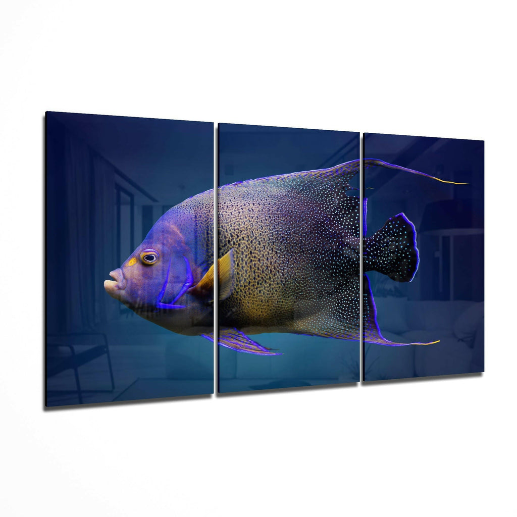 Queen Angel Fish Glass Art