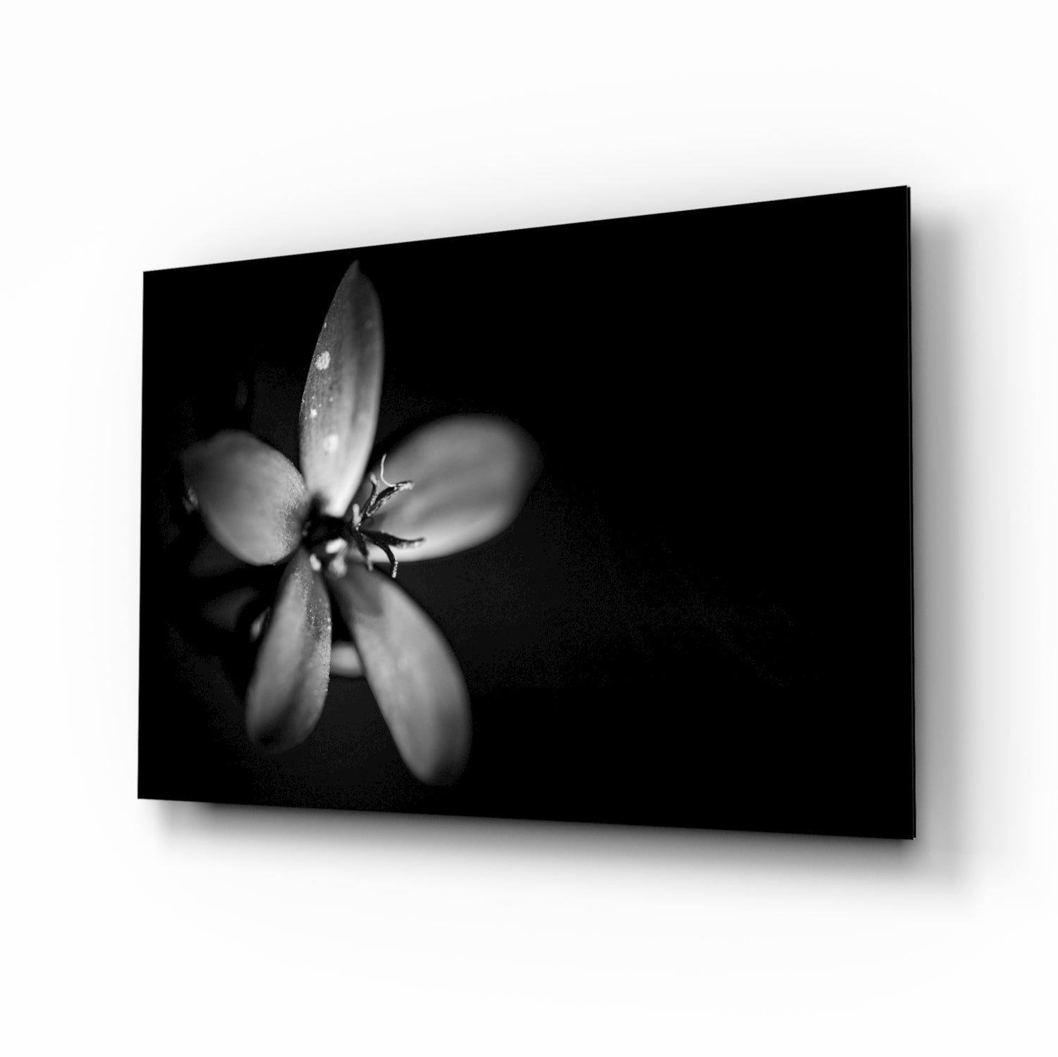 Flower Glass Wall Art