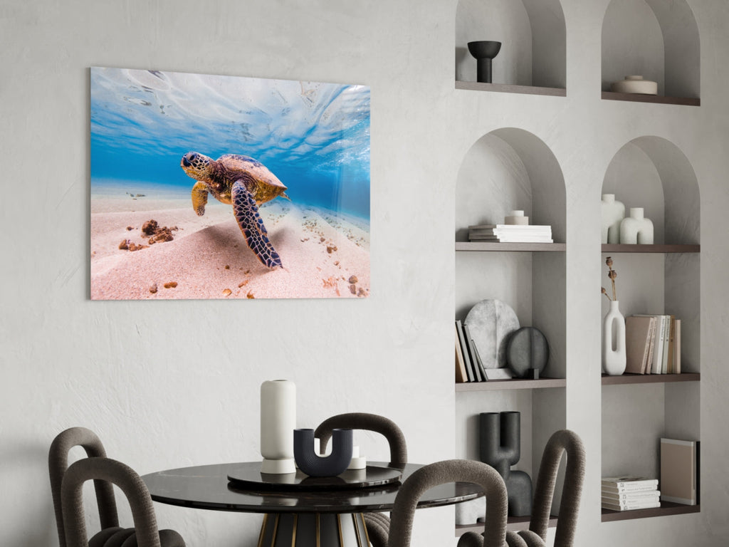 Sea Turtle Glass Wall Art