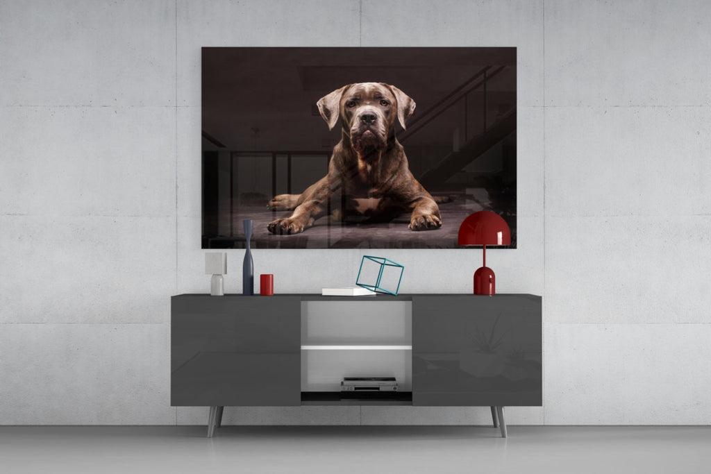Dog Glass Wall Art