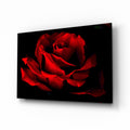 Red Rose Glass Wall Art