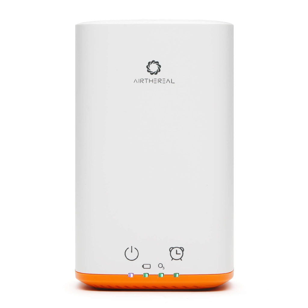 PA300-GO Portable Ozone Generator