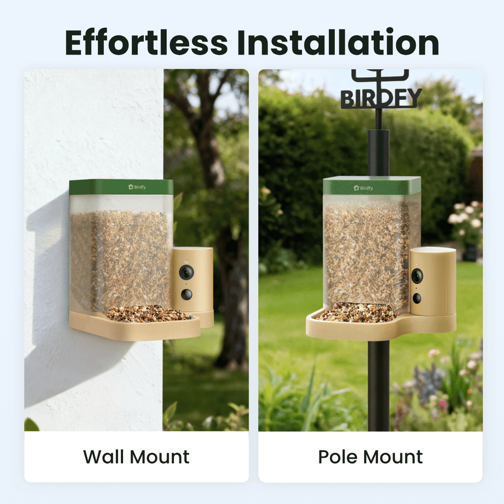 Birdfy Feeder Rookie - Beginner-Friendly Smart Bird Feeder Green