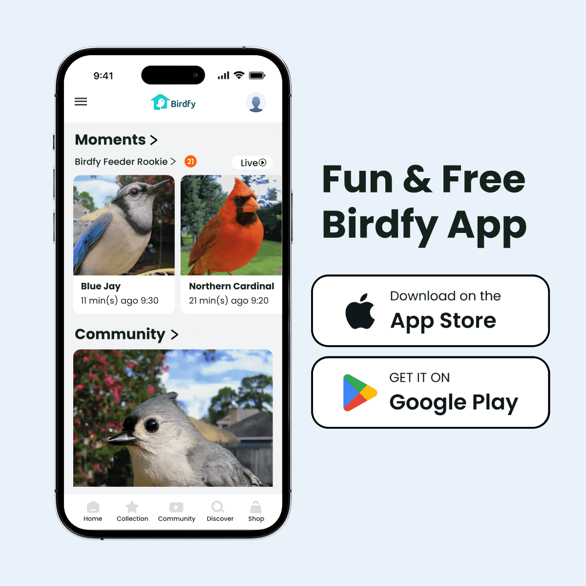 Birdfy Feeder Rookie - Beginner-Friendly Smart Bird Feeder Green