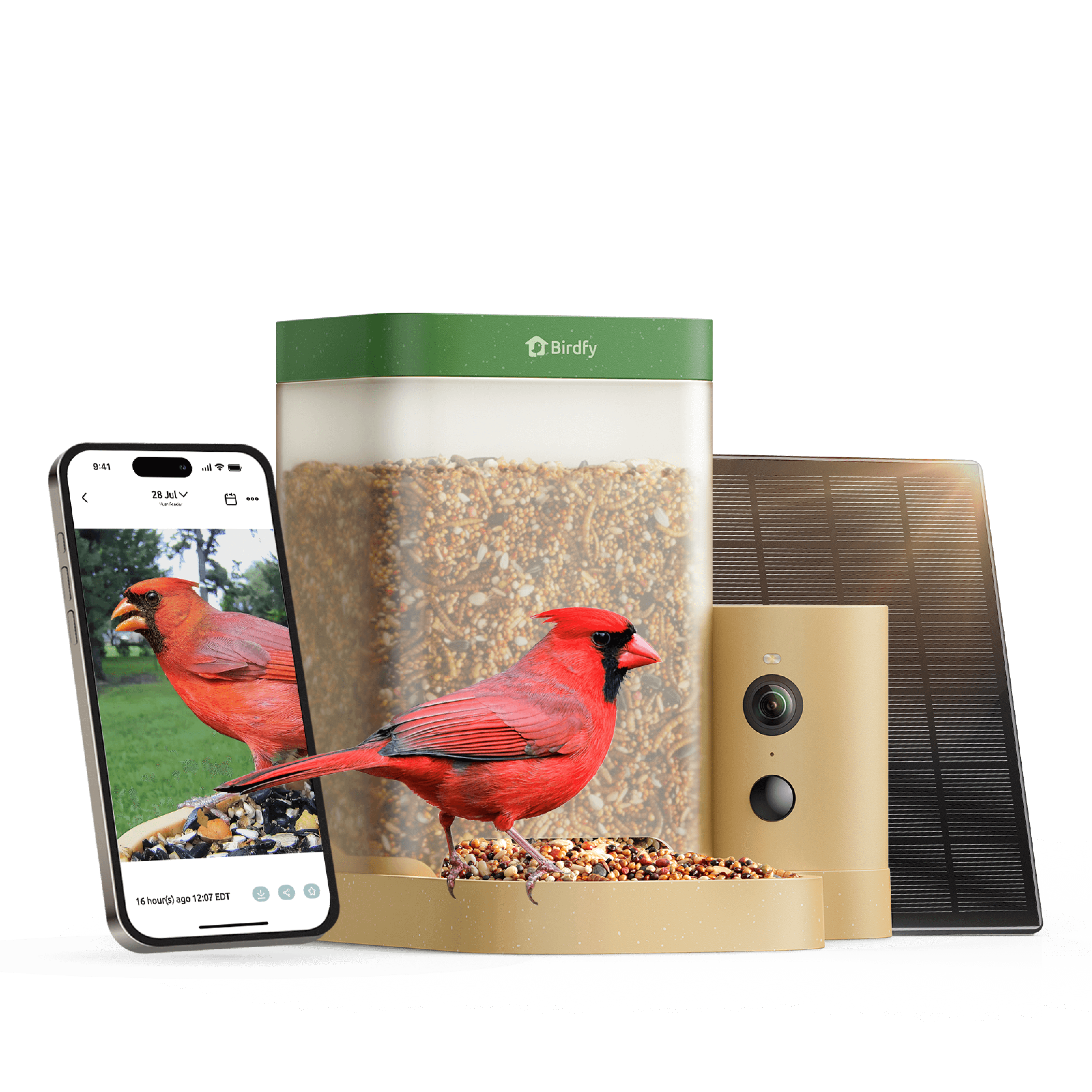 Birdfy Feeder Rookie - Beginner-Friendly Smart Bird Feeder Green