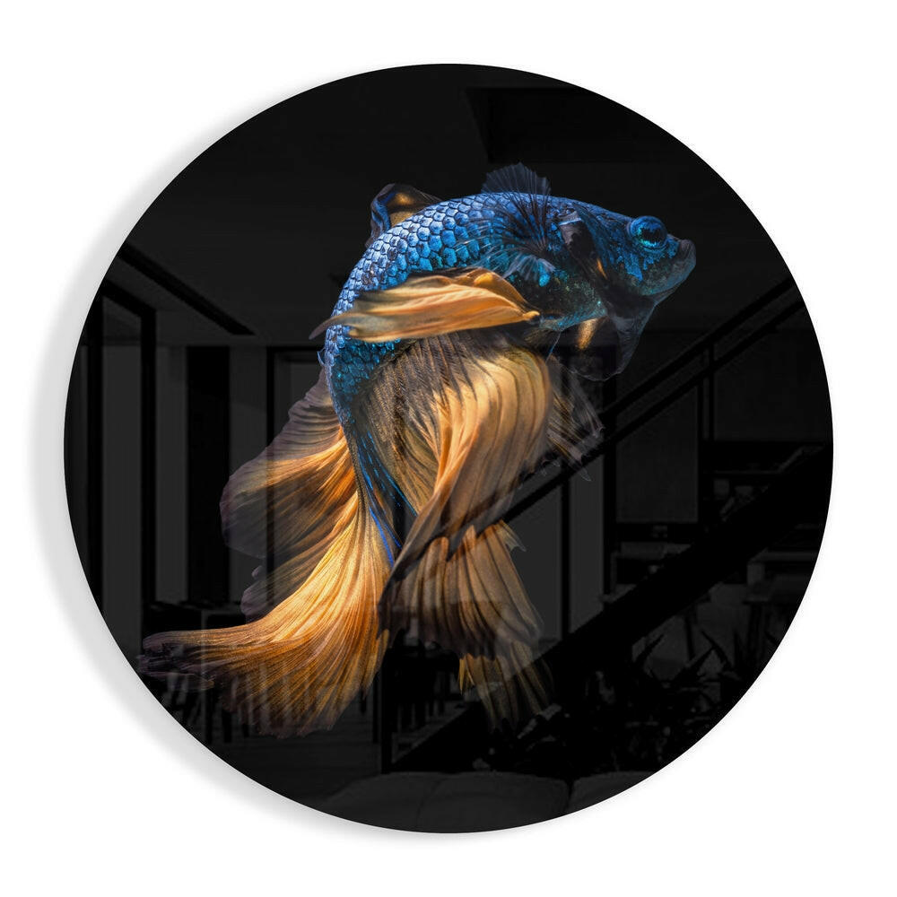 Fish Glass Wall Art