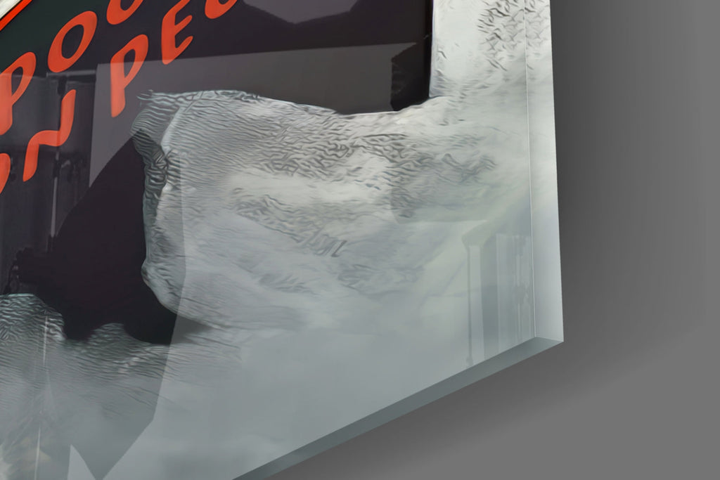 Wise Seagull Glass Wall Art || Designer Collection