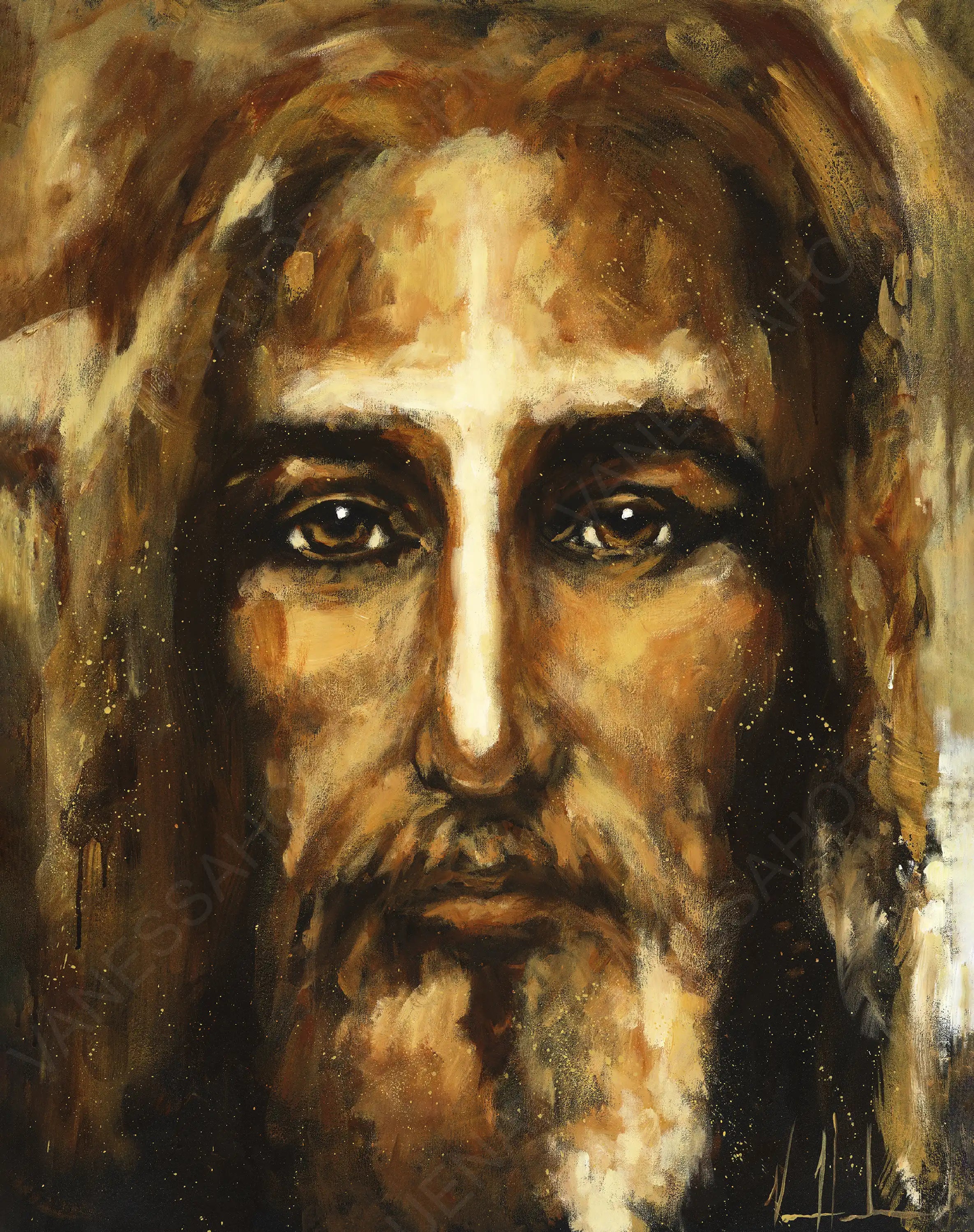 The Shroud of Turin - In His Glory