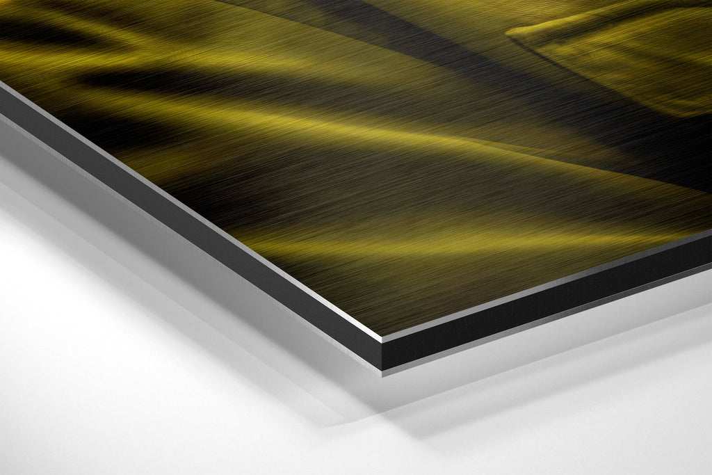 Cool Monkey Brushed Aluminum Dibond Wall Art
