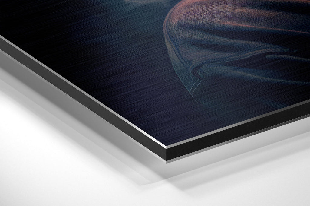 Tupac Brushed Aluminum Dibond Wall Art