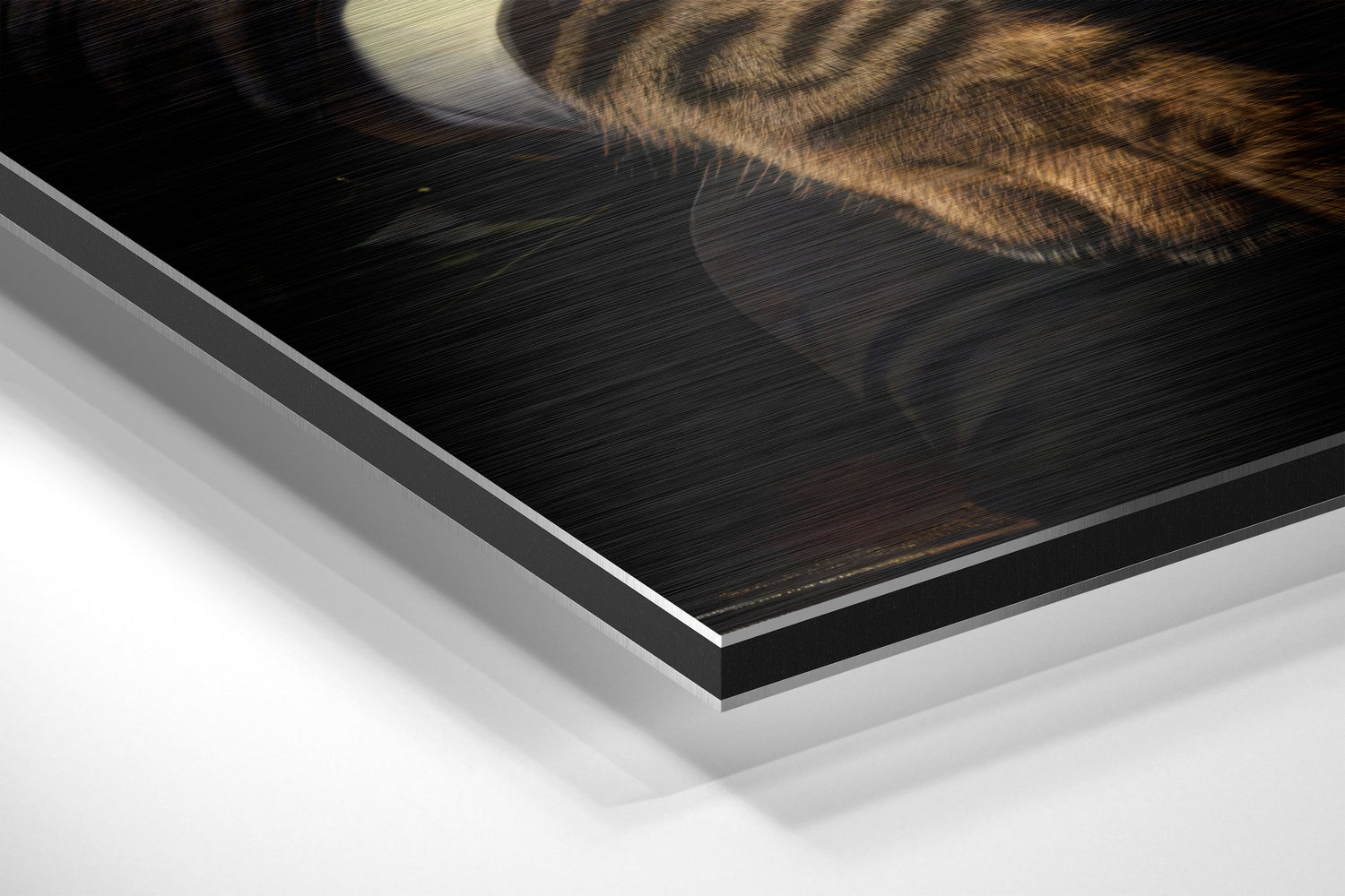 Cat Boss Brushed Aluminum Dibond Wall Art