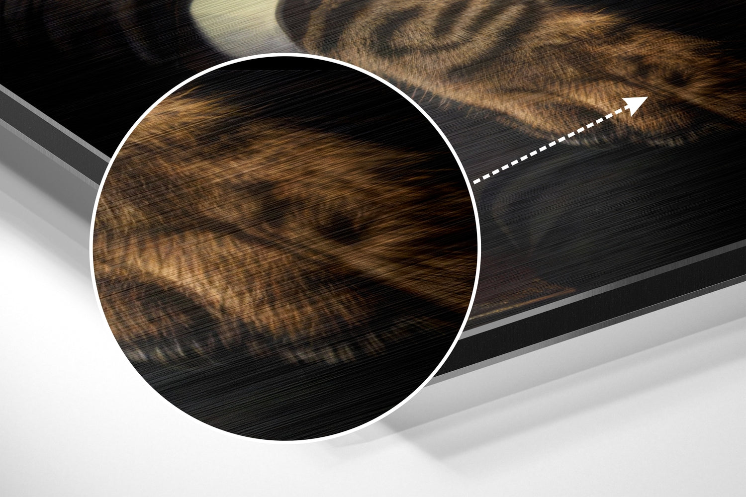 Cat Boss Brushed Aluminum Dibond Wall Art