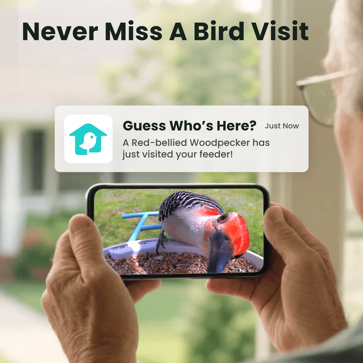 Birdfy Feeder - AI-Powered Smart Bird Feeder with Camera-Yellow
